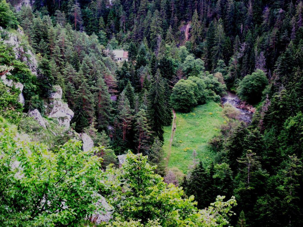 Chata Zlatka Villa Spisske Tomasovce Exterior photo