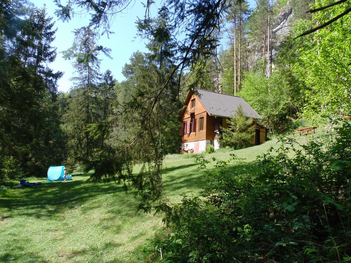 Chata Zlatka Villa Spisske Tomasovce Exterior photo